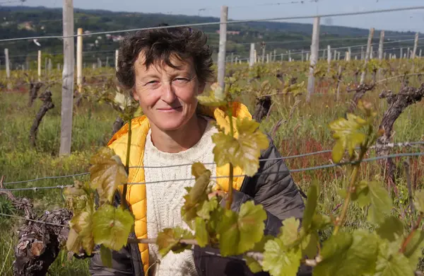 Domaine des Gabies